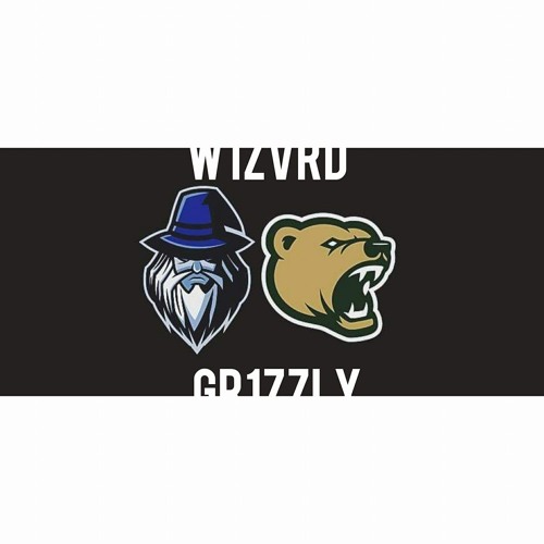 WIZARD & GRIZZLY’s avatar