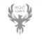 DJ Nighthawk