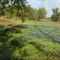 user312019146