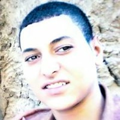 عادل فتحى سرور