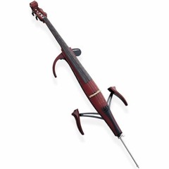 MnemAcolyte