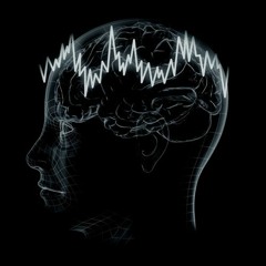 Confusion In Motion Record Label