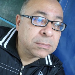 محمد على الدين