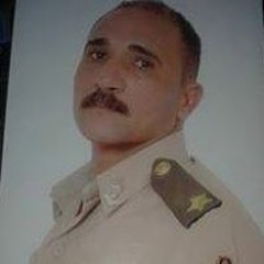 هشام الديب