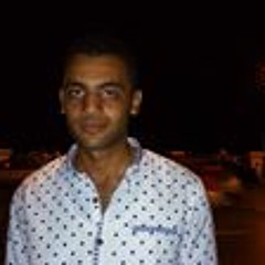 Mostafa Saeed Sallam