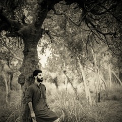 rohaab