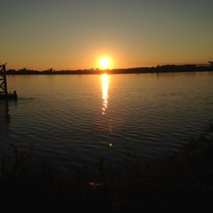 Regina Spektor: Prisoners (Cover)