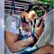 ♪ ☣musia.bryan ☣♪