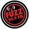 Fuzz Radio 94.9 FM Frecuencia Tec