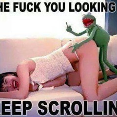 kikkerthyzz