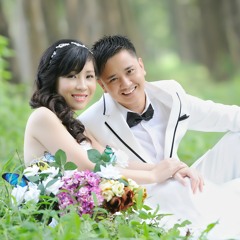hong nguyen thi van