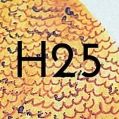 H25 ReliefSociety
