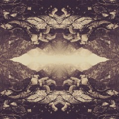 Cosmic butterfly