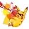PiKaMer 678