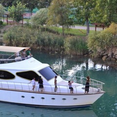 дима катаев