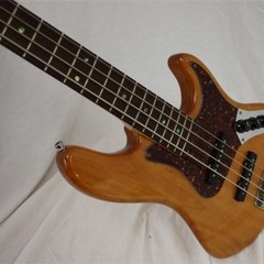 Sri Viswanath - bass player human