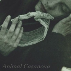AnimalCasanova