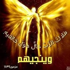 ناردين Nardeen