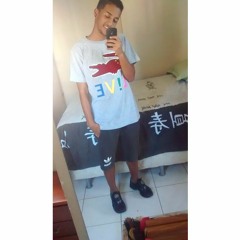 Gabriel Vasconcelos 29