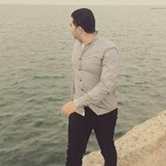 Mohamed Salah Arafa