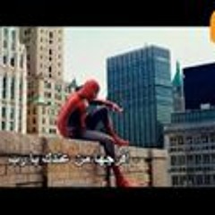 أبو يونس الشربينى