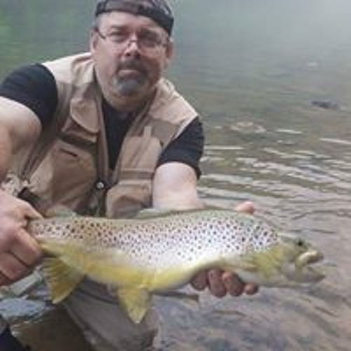 Stream Rick Reeves music | Listen to songs, albums, playlists for free ...