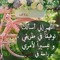 Ana Aslan El Cindrella