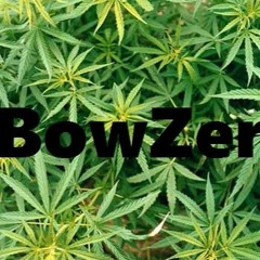 BowZer