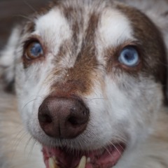 When I'm Not Sleeping