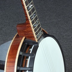 Nechville_banjos