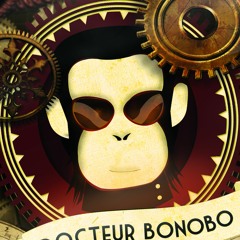 Docteur Bonobo