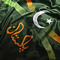 Faizan Raza Official