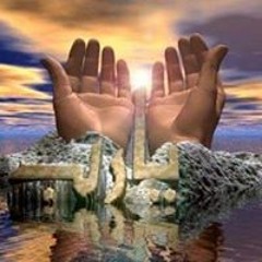 عمرو عابدين