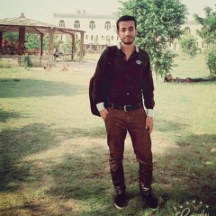 ayman abdelfattah