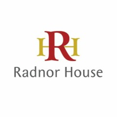 Radnor House Engineering Club