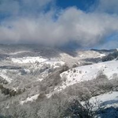 Stream Ju Vsge music | Listen to songs, albums, playlists for free on ...