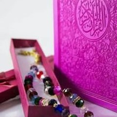 Menna Mostafa