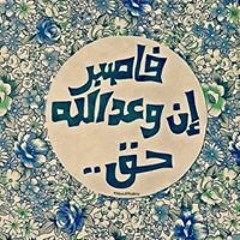 هبة حبيب