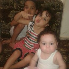 eeldeeb 2010