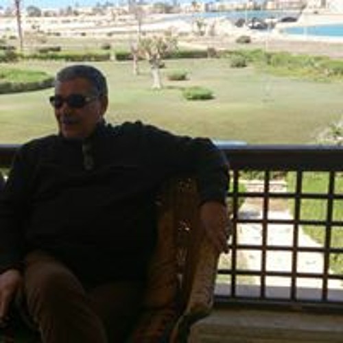 Mostafa Mahmood’s avatar