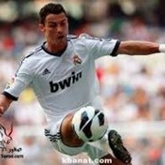 برعي الجيهني