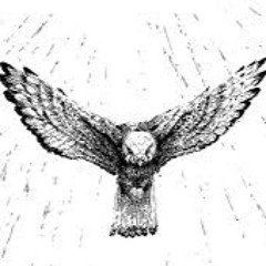 WindHover