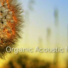 Organic Acoustic Netlabel