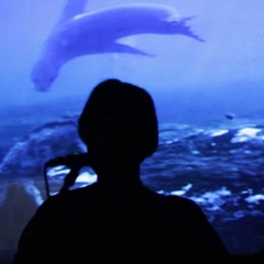 сестричкин луч