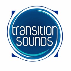 Transition Sounds Records