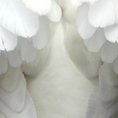 Matthew Price Artist