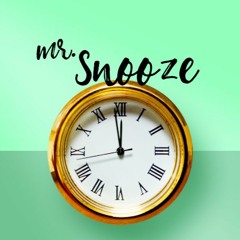mr. snooze