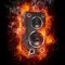 Daily Fire