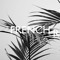 FRENCH弗RIVIERA ✪