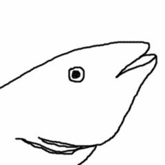 DJ Whitefish